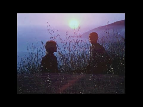 The Lazy Eyes - The Seaside (Visualiser)