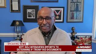 Famous Michael Steele says Trump's lawyers are playing "the worst game of Whac-a-Mole ever" Net Worth