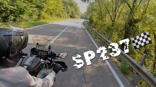 SP237🏁