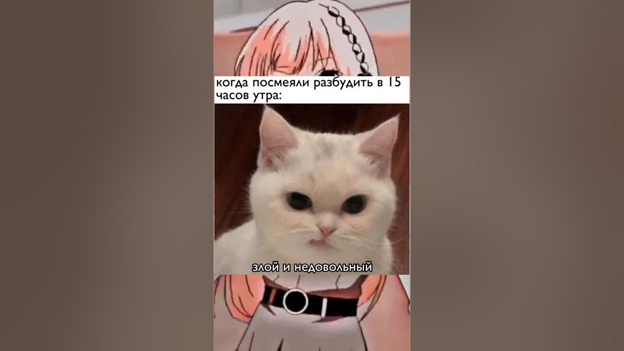 Злюся - YouTube