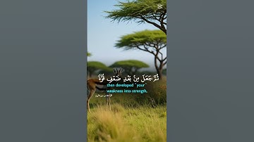 الله الذي خلقكم من ضعف تلاوة خاشعة المقرئ صلاح بو خاطر #اكسبلور #المصحف #راحة_نفسية #لايك
