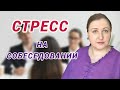 Худшее собеседование в жизни // Стресс при поиске работы