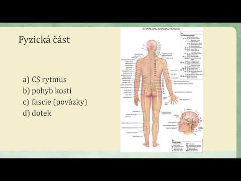 Wideo: Terapia Detaliczna: Czy To Naprawdę Takie Złe?