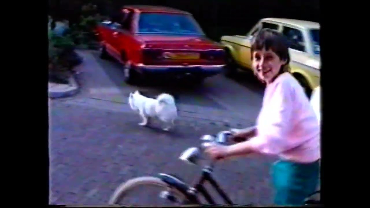 beelden Parkstraat Steenwijk verlaatseweg en omgeving jaren 80