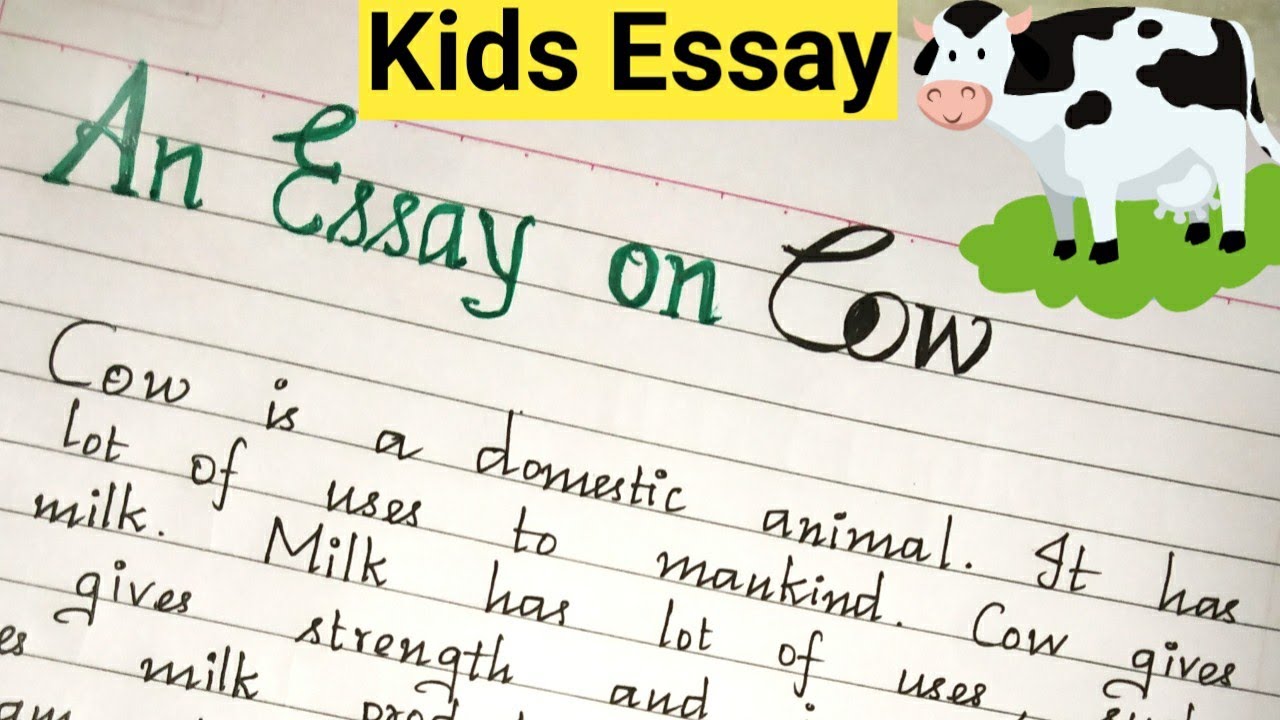 how to write an cow essay