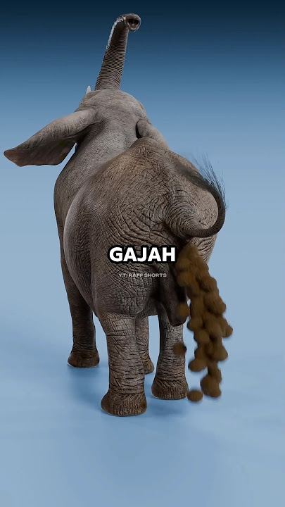 Beginilah cara Naga buang air besar 🤯😱