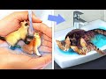 MEOW 🐱 Secret Cat House Under Your Bed! *DIY Room Makeover and Hacks image