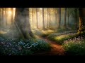 Forest sun  music  ambience  1 hour of relaxing ambient music