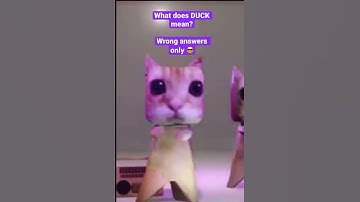 What does duck mean. Wrong answers only 😎#shorts #meme #trending #funny
