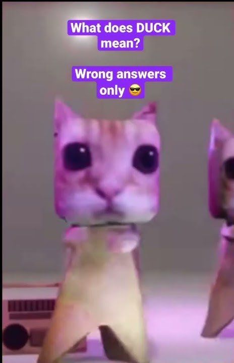 What Does Duck Mean Wrong Answers Only shorts meme trending funny what-does-duck-mean-wrong-answers-only-shorts-meme-trending-funny