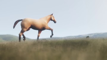 Horse Locomotion | Short | Unreal Engine UE4