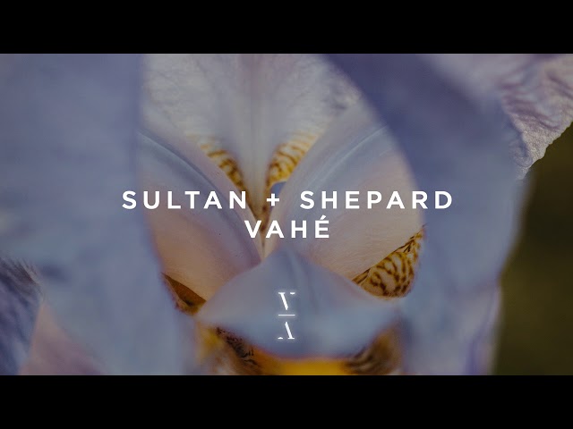 Sultan + Shepard - Vahé