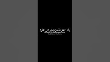 {أفلم يسيروا في الأرض فتكون لهم قلوب يعقلون بها} سورة الحج| القارئ :ياسر الدوسري |شاشة سوداء|