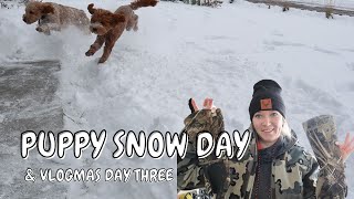 PUPPY SNOW DAY | VLOGMAS DAY THREE by Allie Hoth 295 views 1 year ago 7 minutes, 58 seconds