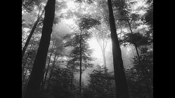 Lumen Ad Mortem : Demo 2019 (Full Demo)