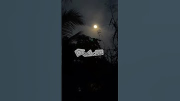 أكتب شيء تؤجر عليه ❤😍  / القارئ أحمد النفيس