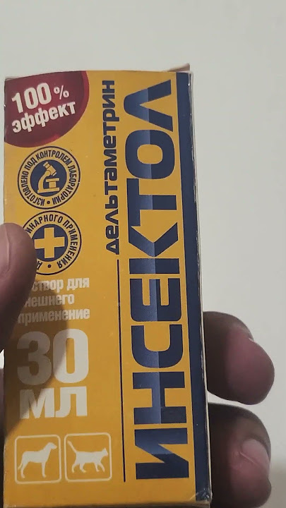 Erotik Italiya paprikasini tomosha qiling