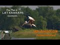 Birds and Birding in Thailand- Bangkok Pelicans of Lat Krabang