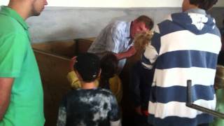 Besuch Bauernhof 14