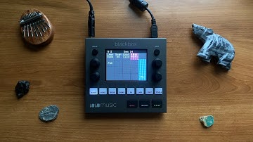 Making Granular Drums With the 1010Music Blackbox - Tutorial