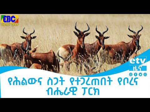 ቪዲዮ: ከብሔራዊ ፓርክ እና ከመጠባበቂያው መካከል ያለው ልዩነት ምንድን ነው?