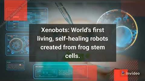 Xenobots:World