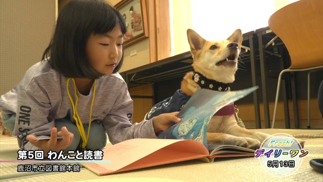 月をかじる犬—中国の民話 (ちくま少年図書館 81) 月をかじる犬―中国の民話 (ちくま少年図書館 81) 【公式通販】