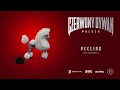 Paluch - "Peeling" prod. SoDrumatic (OFFICIAL AUDIO)
