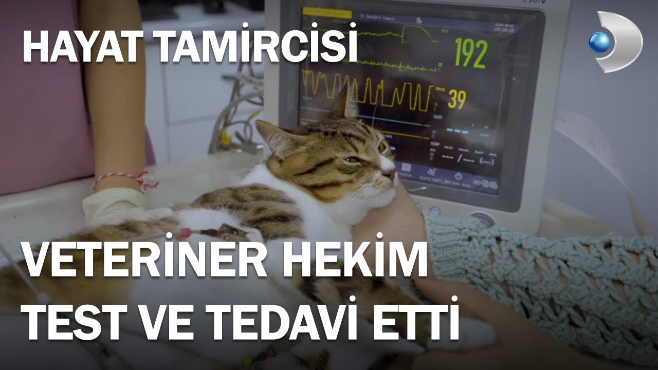 Araba Kazası Sonucunda Felç Olan Müjgan İçin Tedavi Ve Testleri Yapıldı - Hayat Tamircisi 3.Bölüm