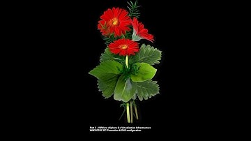 Part 3 - VMWare vSphere 8.x Virtualization Infrastructure WIN2022DC DC Promotion & DNS configuration