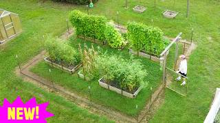 Mega PREPPER Grows Food at Home Eats for FREE!