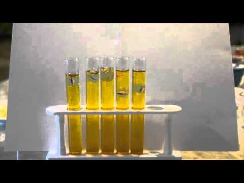 viscosity experiment Students calculate the viscosity of various household fluids by measuring the amount of time have students repeat the experiment and calculate an average viscosity. viscosity experiment Students calculate the viscosity of various household fluids by measuring the amount of time have students repeat the experiment and calculate an average viscosity.