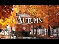 Autumn 4k  scenic relaxation film with peaceful relaxing music and nature ultra