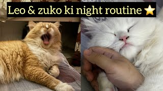 My cat’s night routine 🌙⭐️ by leoko vlog 682 views 5 months ago 6 minutes, 28 seconds