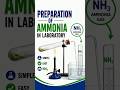 Preparation of Ammonia Gas in the Laboratory | Easy Chemistry Practical