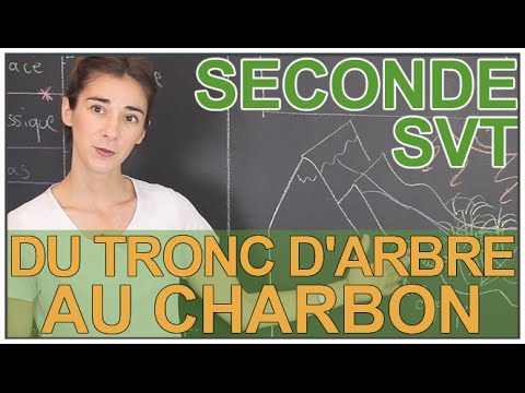 Vidéo: Quand le charbon sous-bitumineux s'est-il formé ?