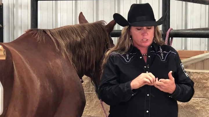 Success Story: Melinda Bell