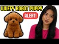 DOG WITH ROBOT – AN INTERACTIVE PET CREATED FOR ENTERTAINMENT-  WUFFY ROBOT PUPPY - ROBOT DOG REVIEW
