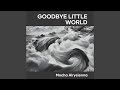 Goodbye Little World