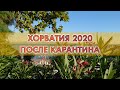 Хорватия после Карантина 2020 Сплит  Водопады Крка Морской орган в Задаре Где снимали Игры Престолов