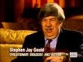 Stephen Jay Gould interview on Evolution