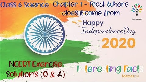 Class 6 Science Chapter 1 | NCERT Solutions | Class 6 Science Ques - Ans | Happy Independence Day