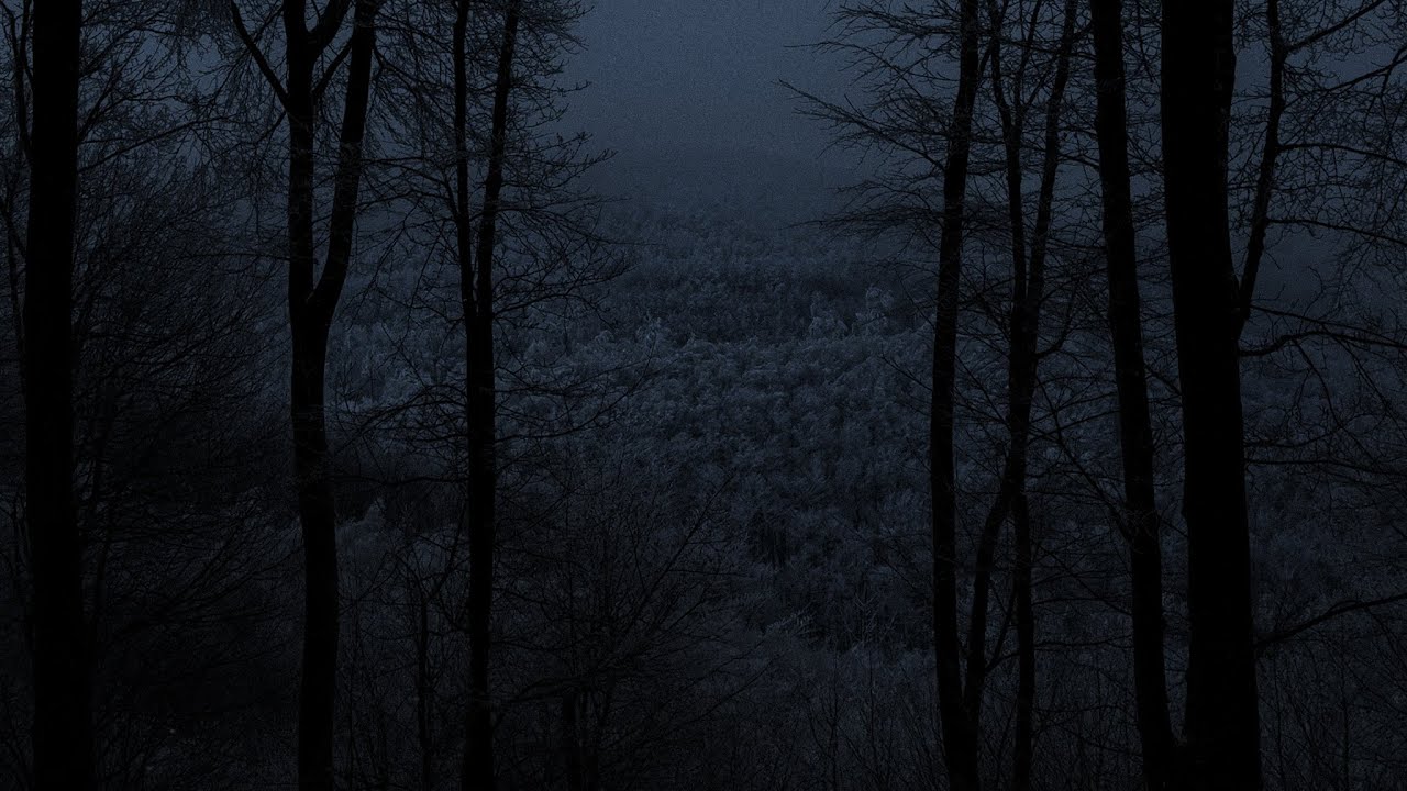 Guarda Winter Forest Atmosphere | Alone in the Carpathian Mountains | -15°C | 3 HOURS su YouTube Guarda Winter Forest Atmosphere | Alone in the Carpathian Mountains | -15°C | 3 HOURS su YouTube