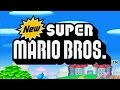 New super mario bros ds full game walkthrough 100