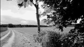 Mazzy Star - Into Dust