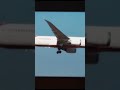 Plen #planecrash #aviationaccident #aviation #planes