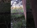 Fostele sere din Arad – loc abandonat plin de mister