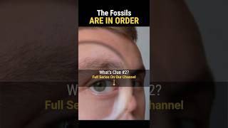Evidence For Evolution? | Ordered Fossils