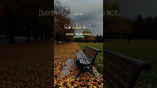 Peaceful Quran Recitation | Soothing Islamic Video for Reflection | Tilawat of the Holy Quran #short