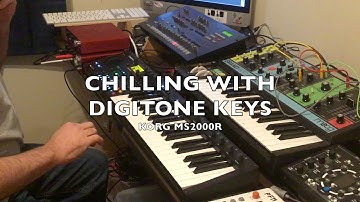 CHILLING WITH DIGITONE KEYS